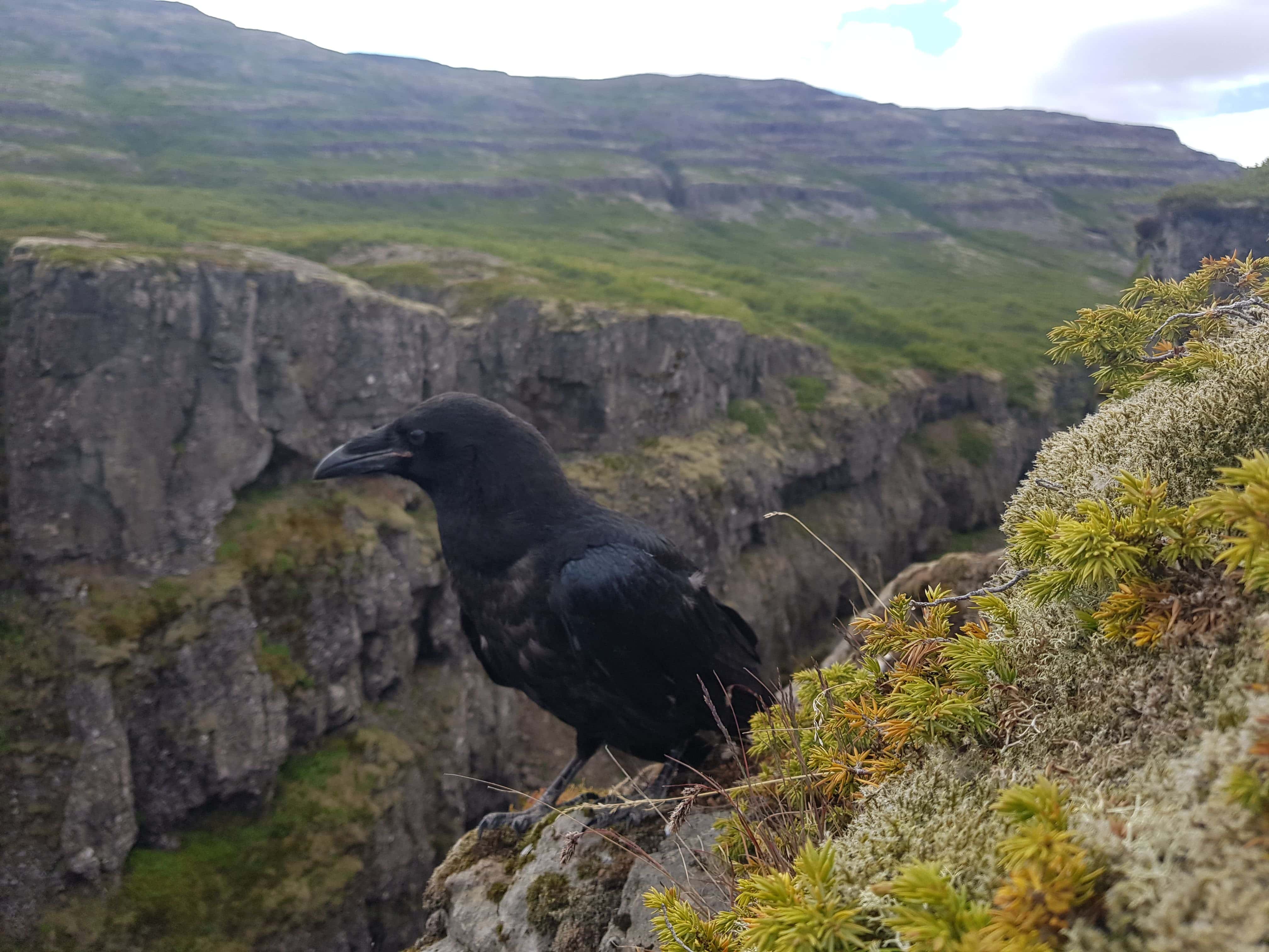 Vatnsfjörður nature reserve